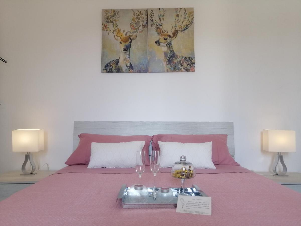B&B Il Tulipano Όπως Εξωτερικό φωτογραφία
